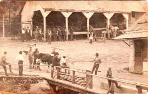 A scenic drive along the Pacific North West.