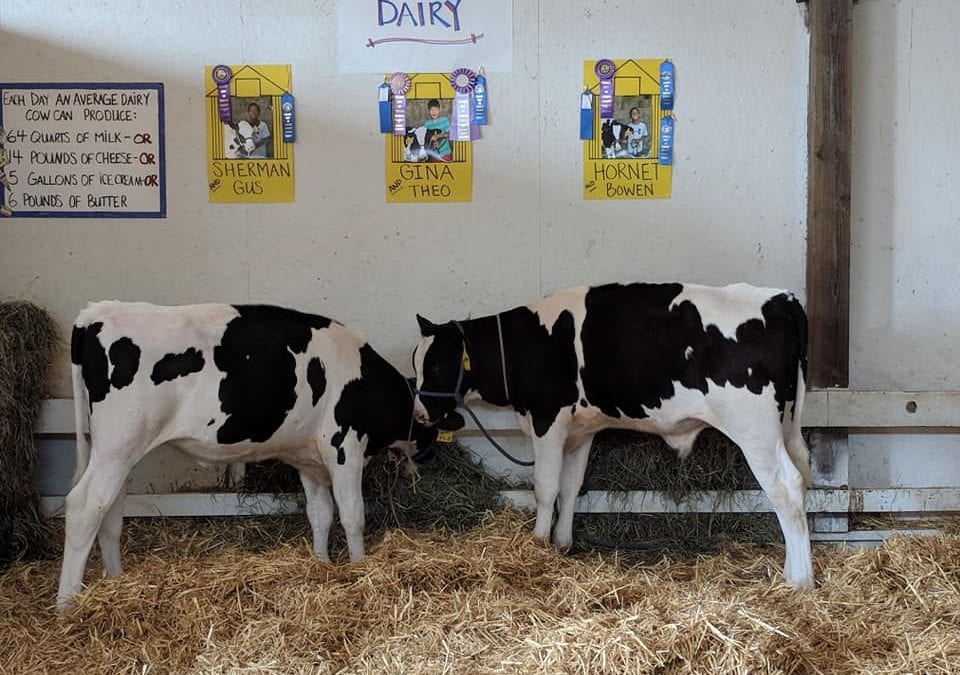 Wahkiakum County Fair 2021