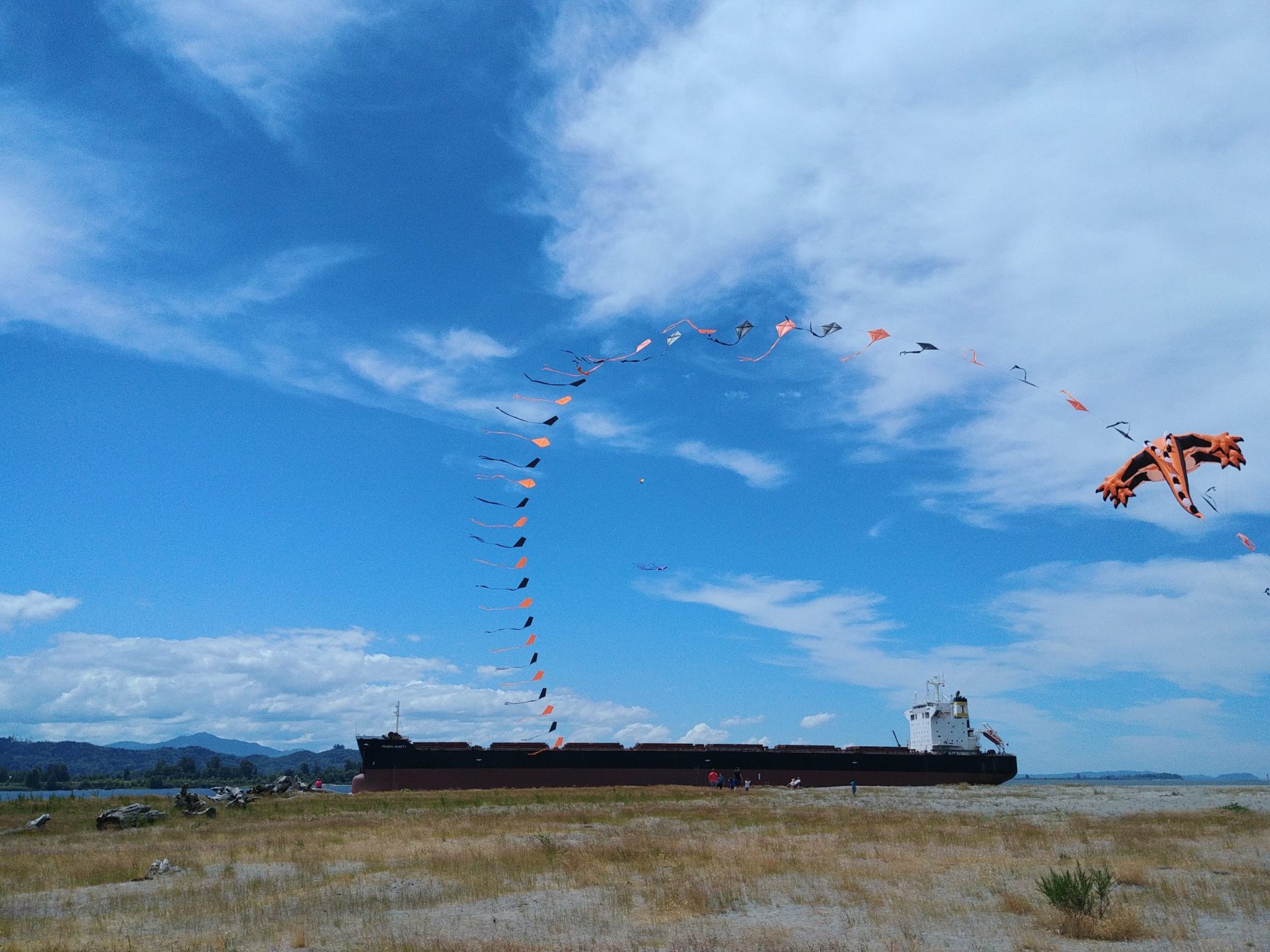 vistaparkshipkite Yurts