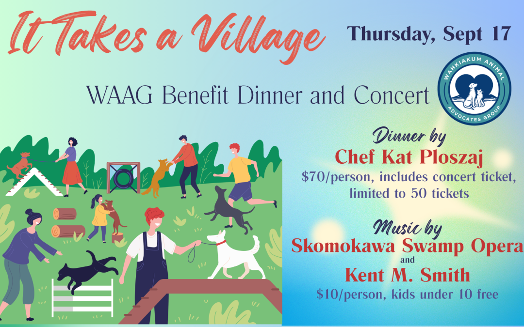It Takes a Village – WAAG Benefit Dinner and Concert