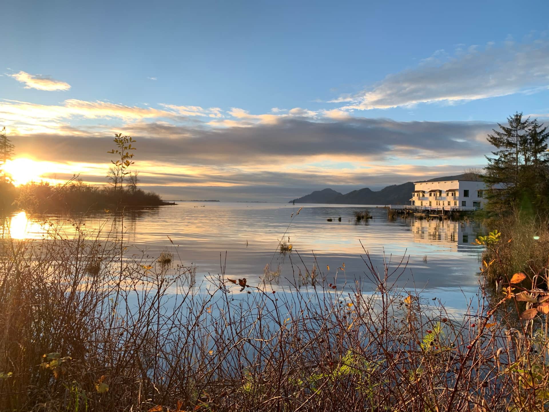 viewpointlanding Viewpoint Landing, Skamokawa